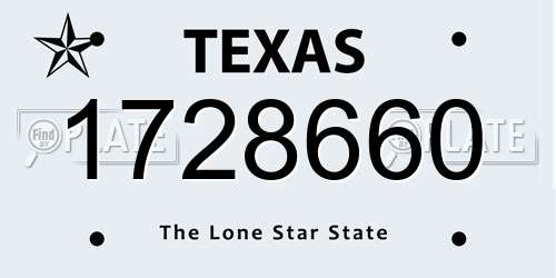 1728660 Texas License Plate