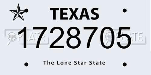 1728705 Texas License Plate