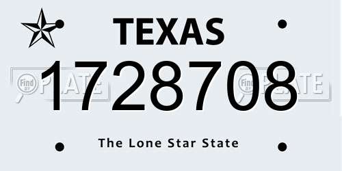 1728708 Texas License Plate