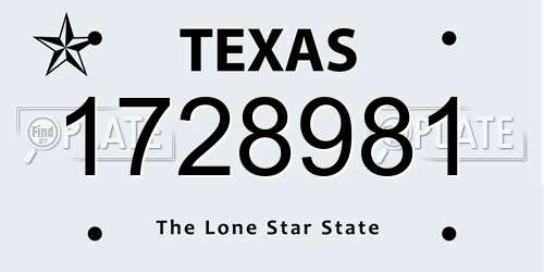 1728981 Texas License Plate