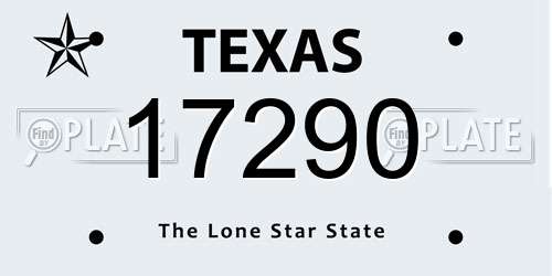 17290 Texas License Plate