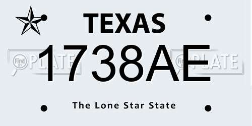 1738AE Texas License Plate
