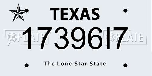 17396I7 Texas License Plate