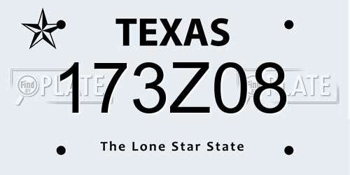 173Z08 Texas License Plate
