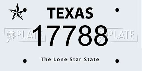 17788 Texas License Plate