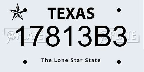 17813B3 Texas License Plate