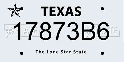 17873B6 Texas License Plate