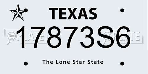 17873S6 Texas License Plate