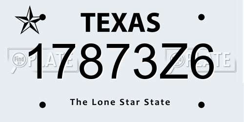 17873Z6 Texas License Plate