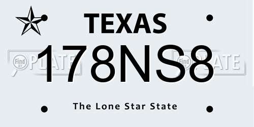178NS8 Texas License Plate