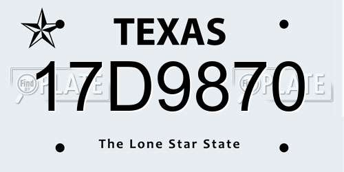 17D9870 Texas License Plate