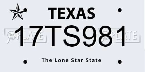 17TS981 Texas License Plate