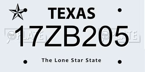 17ZB205 Texas License Plate