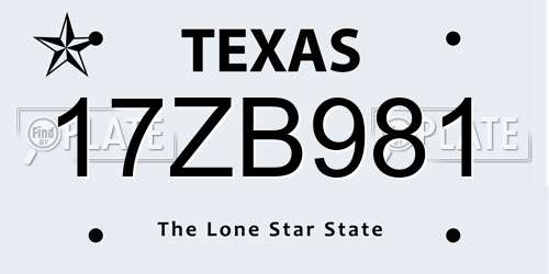 17ZB981 Texas License Plate