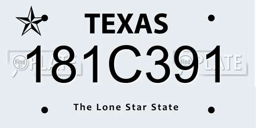 181C391 Texas License Plate