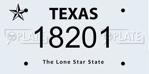 18201 Texas License Plate
