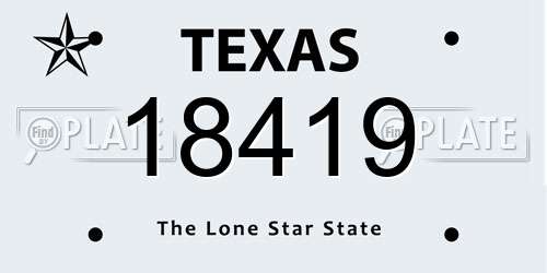 18419 Texas License Plate