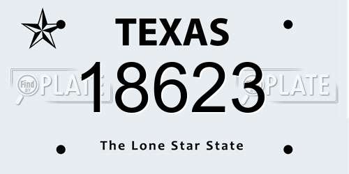 18623 Texas License Plate