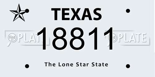 18811 Texas License Plate