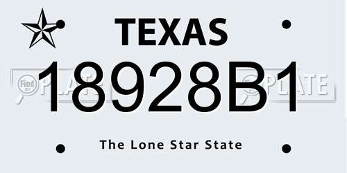 18928B1 Texas License Plate