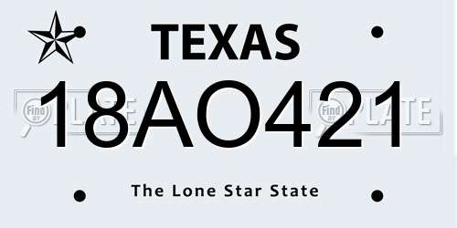 18AO421 Texas License Plate