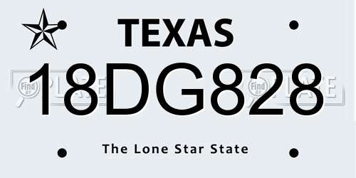 18DG828 Texas License Plate