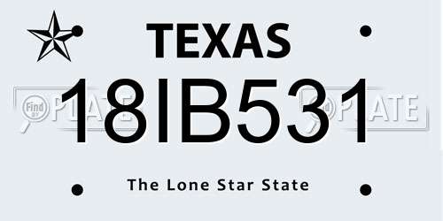 18IB531 Texas License Plate