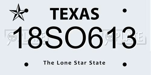 18SO613 Texas License Plate