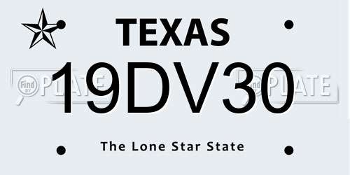 19DV30 Texas License Plate