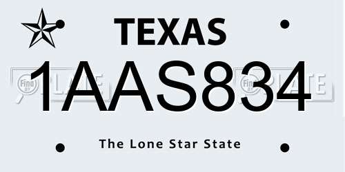 1AAS834 Texas License Plate