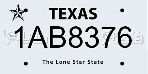 1AB8376 Texas License Plate