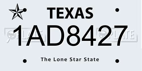 1AD8427 Texas License Plate