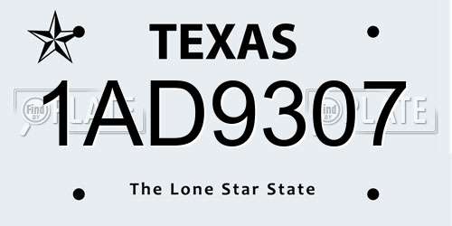 1AD9307 Texas License Plate