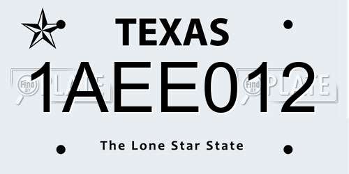 1AEE012 Texas License Plate