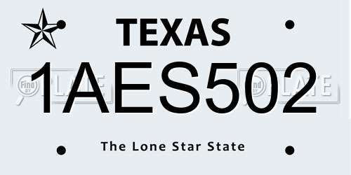 1AES502 Texas License Plate