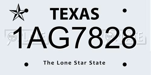 1AG7828 Texas License Plate