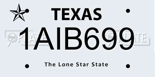 1AIB699 Texas License Plate