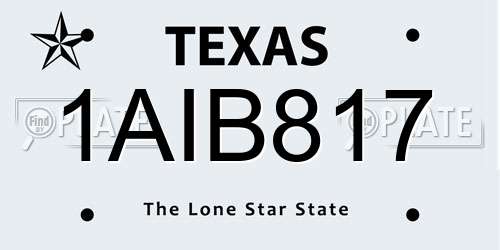 1AIB817 Texas License Plate