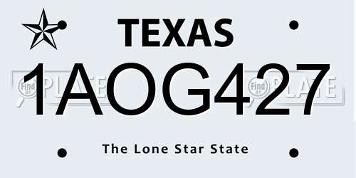 1AOG427 Texas License Plate