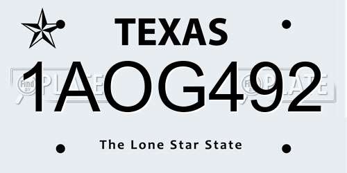 1AOG492 Texas License Plate