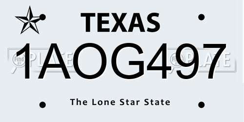 1AOG497 Texas License Plate