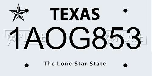 1AOG853 Texas License Plate
