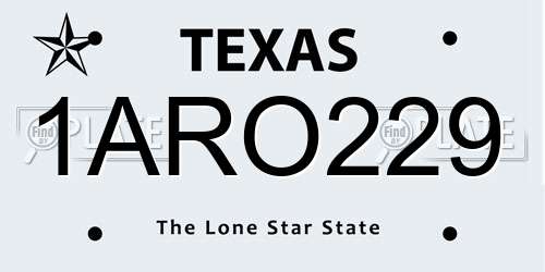 1ARO229 Texas License Plate