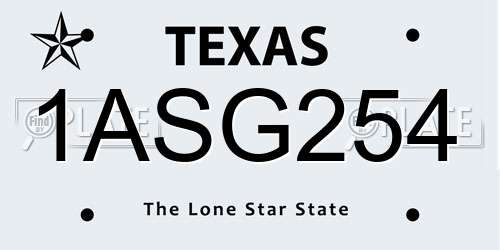 1ASG254 Texas License Plate