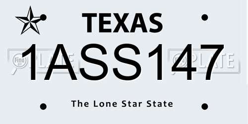 1ASS147 Texas License Plate
