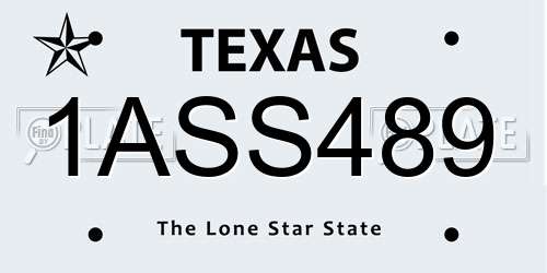 1ASS489 Texas License Plate