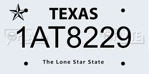 1AT8229 Texas License Plate