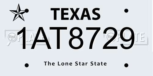 1AT8729 Texas License Plate