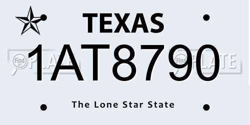 1AT8790 Texas License Plate