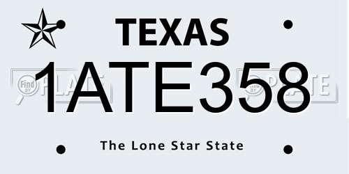 1ATE358 Texas License Plate